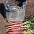角型土のう袋で野菜の袋栽培