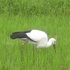 アニマルガーデン　ｉｎ　山口県