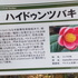 第２６回「洋ラン展」　京都府立植物園