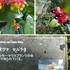 宇治市植物公園&伊藤久右衛門～2018.2.6～