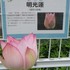 咲くやこの花館イベント集