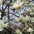 富山県中央植物園