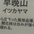 「サトザクラ展」京都府立植物園