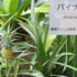 広島市植物公園!(^^)!（2018年5月)