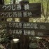 栃木県那須高原自然の家・八幡園地