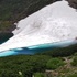 高山の花旅栂池自然園から乗鞍岳畳平