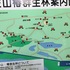 笠山・椿群生林