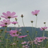 下呂温泉（日本三名泉のひとつ）合掌村 　絶景散策