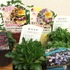 観葉植物、多肉植物、その他色々