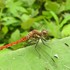 愛おしき生き物たち2019