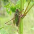 愛おしき生き物たち2019