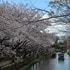 八幡掘り2019