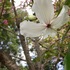 2019年 筑波実験植物園♪