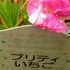 令和元年～令和４年の我が家の『カーネーション』