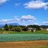 「四季折々」　気楽に📷パチリ☆　（其のⅡ）🗻　☆(^-^)