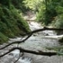 福島県天栄村 二岐渓流