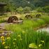 植物と建物の風景