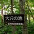 野幌森林公園散歩