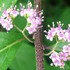 公園、植物園　にて