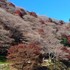 公園、植物園　にて