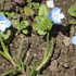 季節を彩る植物たち