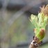 季節を彩る植物たち