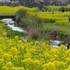 季節を彩る植物たち