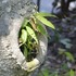 季節を彩る植物たち