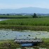 季節を彩る植物たち