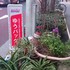 下町園芸