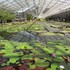 Ⅰ　箱根に行ってきました。掛川花鳥園