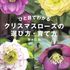 祝増刷！！　「ひと目でわかる クリスマスローズの選び方・育て方」