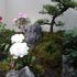 植物園に行って来ました４２（牡丹展）