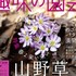 【テキスト掲載情報】『趣味の園芸』『やさいの時間』3月号に掲載されたメンバーを発表！