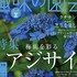 【テキスト掲載情報】『趣味の園芸』6月号に掲載されたメンバーを発表！