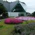 木曽三川公園･･･熱帯性スイレンのイベント