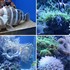 水族館うみたまご(その2)