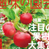 【テキスト掲載情報】『趣味の園芸』11月号に掲載されたメンバーを発表！