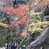 京風の庭園 一条恵観山荘