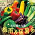 【テキスト掲載情報】『趣味の園芸』6月号に掲載されたメンバーを発表！