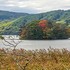 車窓から見える駒ヶ岳と小沼