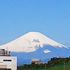 裏山から富士山🎵