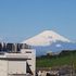 裏山から富士山🎵