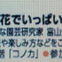 11月22日(木）午後1時から西宮阪急１Fコノカで、コトコトステージでっす。