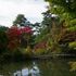 神戸市立森林植物園に行ってきましたヨン様（笑）