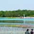 関西の植物園巡り