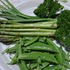 葉物野菜、花蕾（からい）を食べる野菜（ブロッコリーなど）のトピ