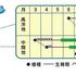 エンドウ、インゲン♪