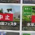 野草、薬草に関するイベント、講座