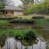 大きな植物園